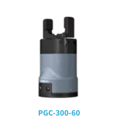PGC-300-60
